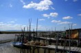 /album/imagens-da-carrasqueira/a2-jpg1/