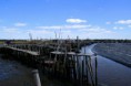 /album/imagens-da-carrasqueira/a5-jpg/