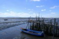 /album/imagens-da-carrasqueira/a6-jpg/