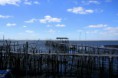 /album/imagens-da-carrasqueira/a7-jpg/