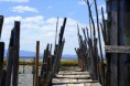 /album/imagens-da-carrasqueira/a9-jpg/