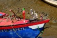 /album/imagens-da-carrasqueira/a10-jpg/
