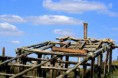 /album/imagens-da-carrasqueira/a12-jpg/