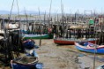 /album/imagens-da-carrasqueira/a13-jpg/