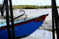/album/imagens-da-carrasqueira/a18-jpg/