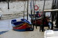 /album/imagens-da-carrasqueira/a20-jpg/