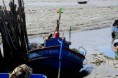 /album/imagens-da-carrasqueira/a21-jpg/