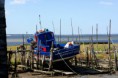 /album/imagens-da-carrasqueira/a22-jpg/