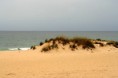/album/imagens-do-carvalhal/a3085272-t1q1p-jpg/