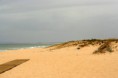 /album/imagens-do-carvalhal/a3085278-esnjn-jpg/