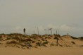 /album/imagens-do-carvalhal/a3085280-crsi2-jpg/
