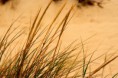 /album/imagens-do-carvalhal/a3085291-y5sgk-jpg/